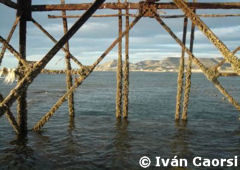 Playas de Comodoro Rivadavia